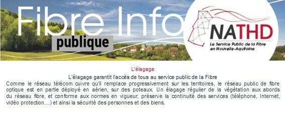 FIBRE INFO : ELAGAGE